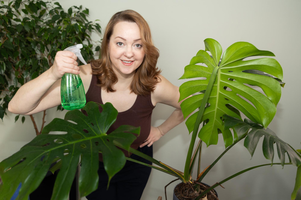 Plantes d&rsquo;intérieur qui aiment l&rsquo;ombre : comment bien les choisir et les entretenir